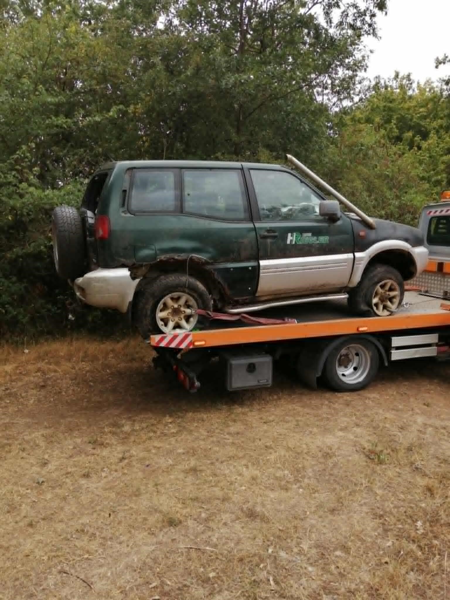 Terrano