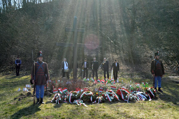 55146014447 2a32a3d288 c